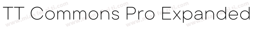 TT Commons Pro Expanded ExtraBold字体转换